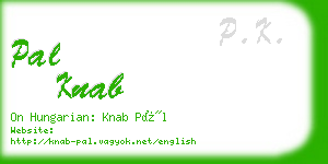 pal knab business card